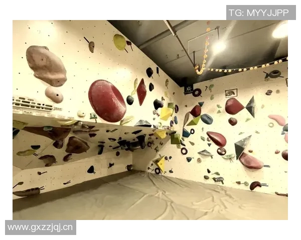 广州攀岩队耐力对比研究揭示训练方法与表现之间的关系